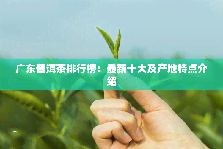 广东普洱茶排行榜：最新十大及产地特点介绍