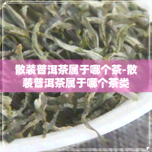 散装普洱茶属于哪个茶-散装普洱茶属于哪个茶类