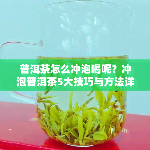 普洱茶怎么冲泡喝呢？冲泡普洱茶5大技巧与方法详解