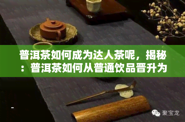 普洱茶如何成为达人茶呢，揭秘：普洱茶如何从普通饮品晋升为达人的首选茶叶？