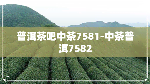 普洱茶吧中茶7581-中茶普洱7582