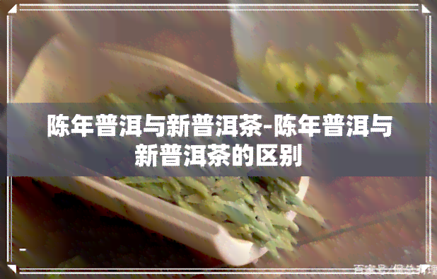 陈年普洱与新普洱茶-陈年普洱与新普洱茶的区别