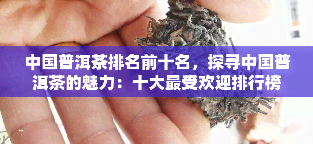 中国普洱茶排名前十名，探寻中国普洱茶的魅力：十大更受欢迎排行榜