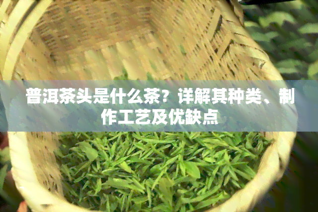 普洱茶头是什么茶？详解其种类、制作工艺及优缺点