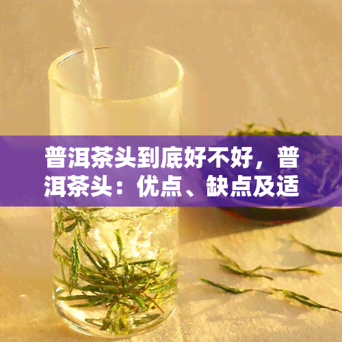 普洱茶头到底好不好，普洱茶头：优点、缺点及适饮人群分析