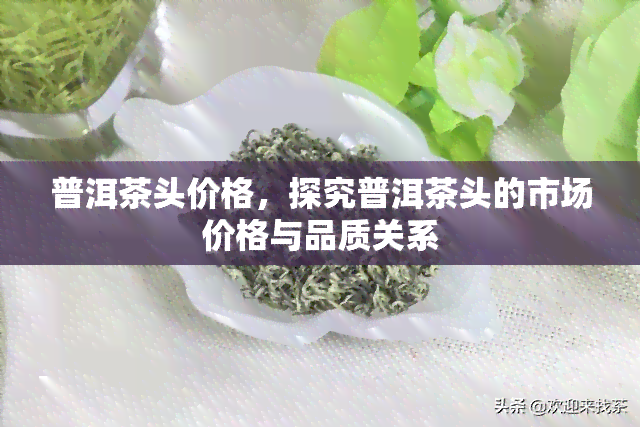 普洱茶头价格，探究普洱茶头的市场价格与品质关系