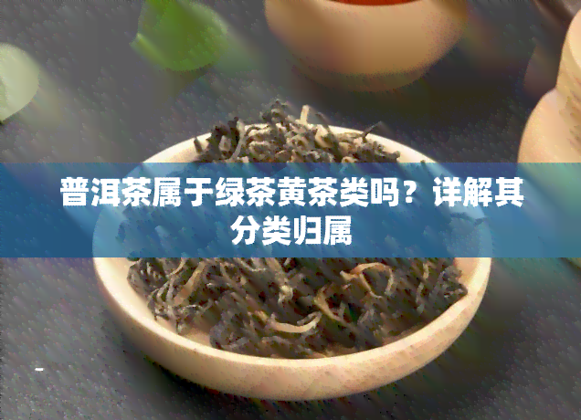 普洱茶属于绿茶黄茶类吗？详解其分类归属