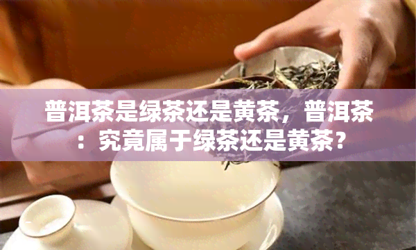 普洱茶是绿茶还是黄茶，普洱茶：究竟属于绿茶还是黄茶？