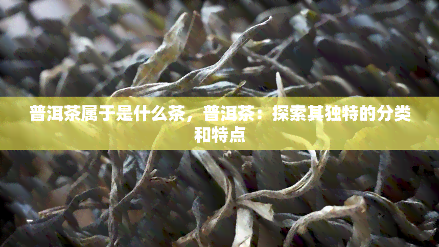 普洱茶属于是什么茶，普洱茶：探索其独特的分类和特点