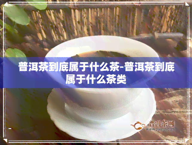 普洱茶到底属于什么茶-普洱茶到底属于什么茶类