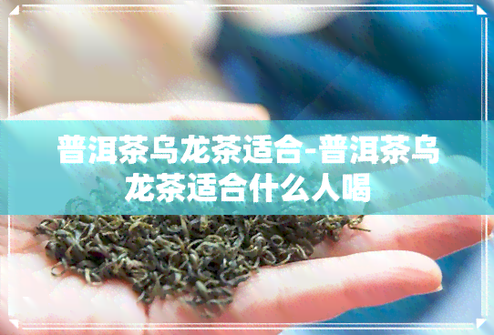 普洱茶乌龙茶适合-普洱茶乌龙茶适合什么人喝