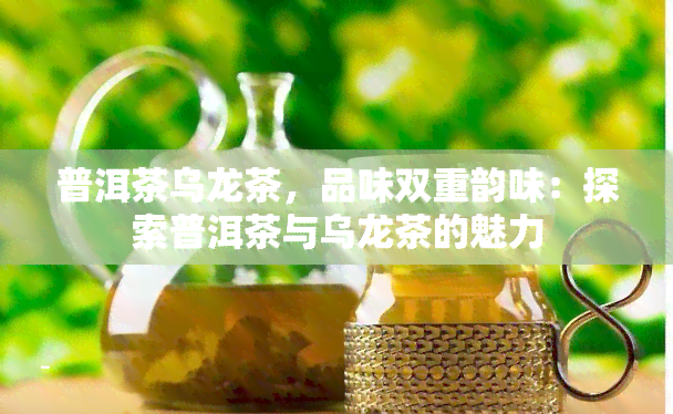 普洱茶乌龙茶，品味双重韵味：探索普洱茶与乌龙茶的魅力