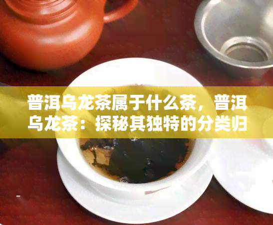 普洱乌龙茶属于什么茶，普洱乌龙茶：探秘其独特的分类归属