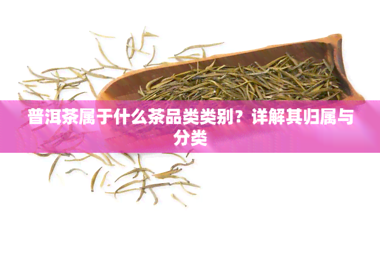 普洱茶属于什么茶品类类别？详解其归属与分类