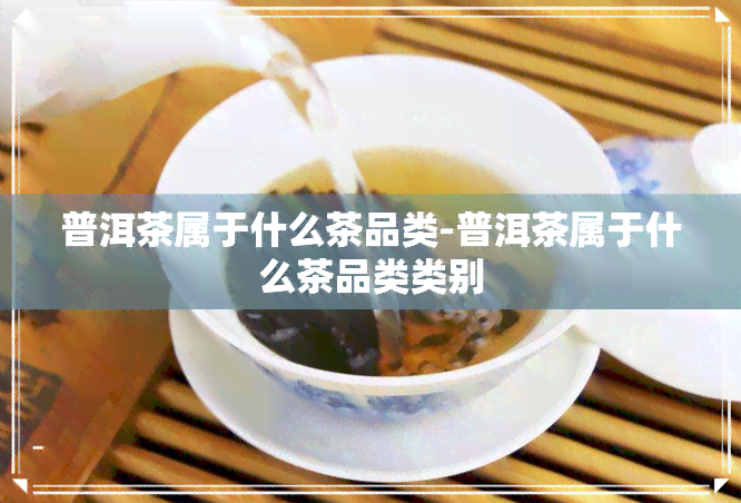 普洱茶属于什么茶品类-普洱茶属于什么茶品类类别