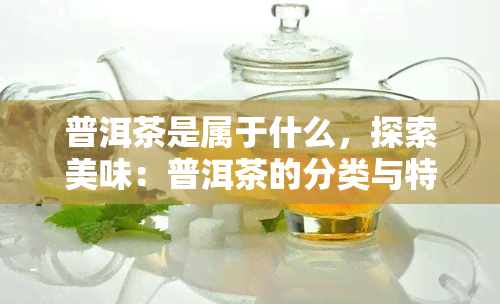 普洱茶是属于什么，探索美味：普洱茶的分类与特点