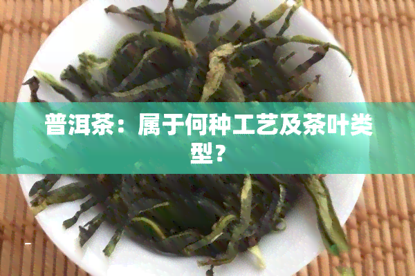 普洱茶：属于何种工艺及茶叶类型？