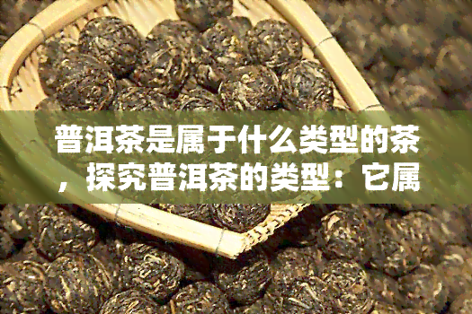 普洱茶是属于什么类型的茶，探究普洱茶的类型：它属于哪一类茶叶？