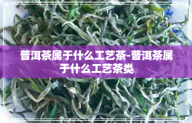 普洱茶属于什么工艺茶-普洱茶属于什么工艺茶类