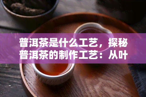 普洱茶是什么工艺，探秘普洱茶的制作工艺：从叶到成品的全过程解析