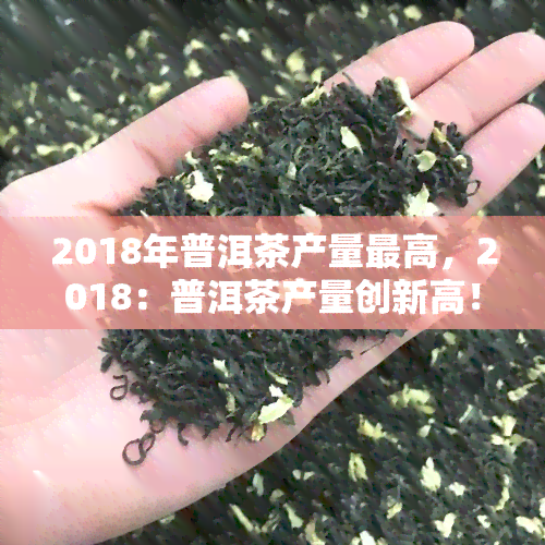 2018年普洱茶产量更高，2018：普洱茶产量创新高！