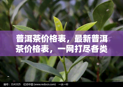 普洱茶价格表，最新普洱茶价格表，一网打尽各类茶叶价格信息！