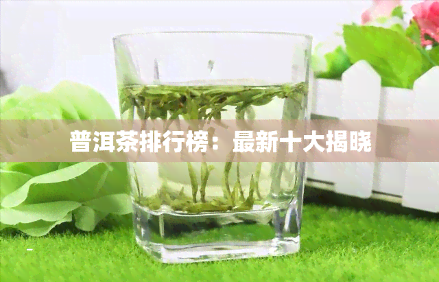 普洱茶排行榜：最新十大揭晓