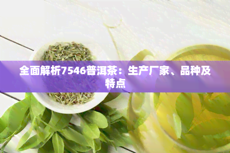 全面解析7546普洱茶：生产厂家、品种及特点