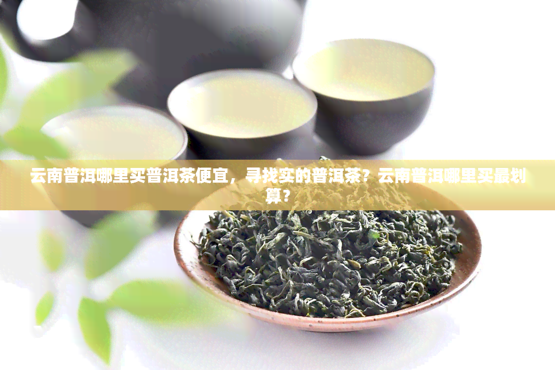 云南普洱哪里买普洱茶便宜，寻找实的普洱茶？云南普洱哪里买最划算？