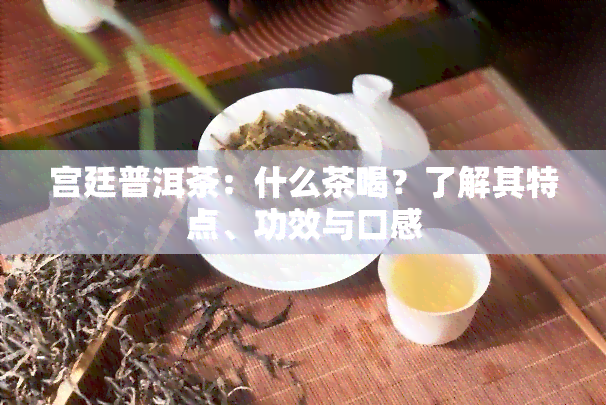 宫廷普洱茶：什么茶喝？了解其特点、功效与口感