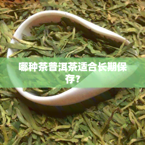 哪种茶普洱茶适合长期保存？