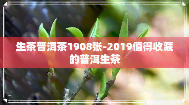 生茶普洱茶1908张-2019值得收藏的普洱生茶