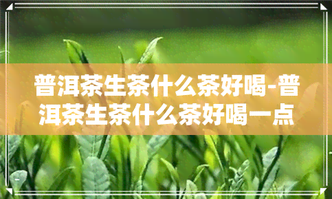 普洱茶生茶什么茶好喝-普洱茶生茶什么茶好喝一点