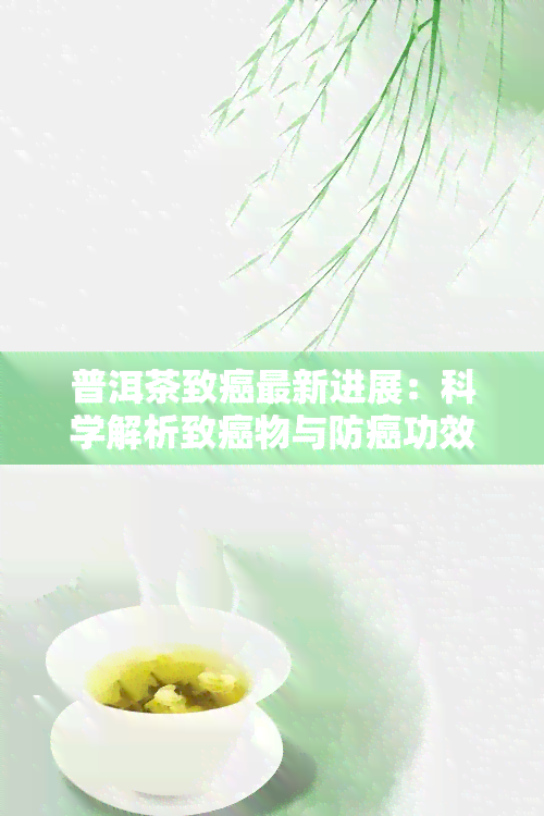 普洱茶致癌最新进展：科学解析致癌物与防癌功效