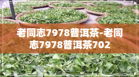 老同志7978普洱茶-老同志7978普洱茶702