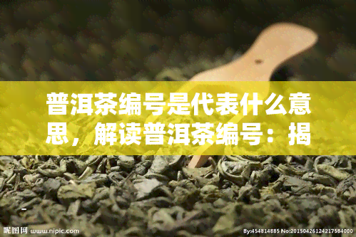 普洱茶编号是代表什么意思，解读普洱茶编号：揭开其背后的含义和作用