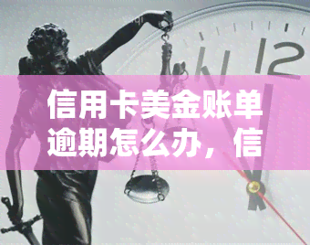 信用卡美金账单逾期怎么办，信用卡美元账单逾期处理攻略