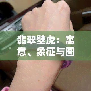 翡翠壁虎：寓意、象征与图片大全，详解与蜥蜴的区别及龙吊坠镶嵌样式