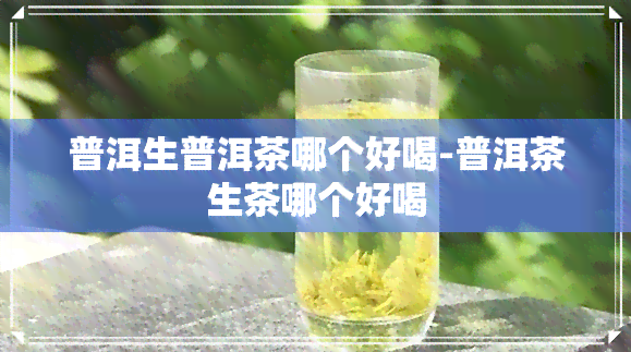 普洱生普洱茶哪个好喝-普洱茶生茶哪个好喝