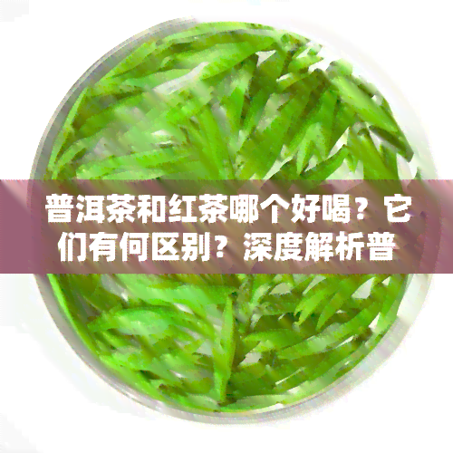 普洱茶和红茶哪个好喝？它们有何区别？深度解析普洱茶与红茶的不同之处