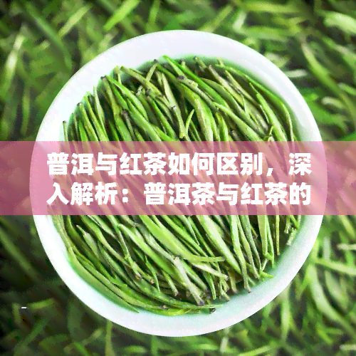 普洱与红茶如何区别，深入解析：普洱茶与红茶的五大区别