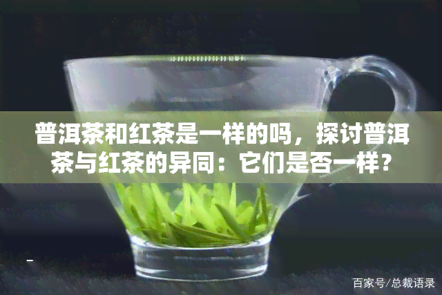 普洱茶和红茶是一样的吗，探讨普洱茶与红茶的异同：它们是否一样？