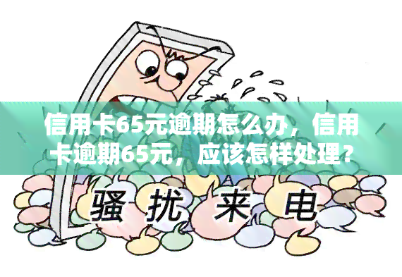 信用卡65元逾期怎么办，信用卡逾期65元，应该怎样处理？