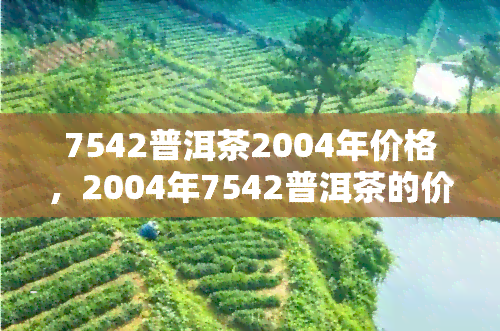 7542普洱茶2004年价格，2004年7542普洱茶的价格是多少？