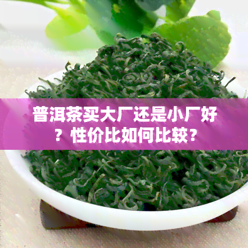 普洱茶买大厂还是小厂好？性价比如何比较？