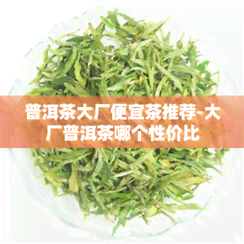 普洱茶大厂便宜茶推荐-大厂普洱茶哪个性价比