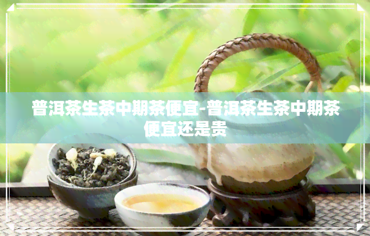 普洱茶生茶中期茶便宜-普洱茶生茶中期茶便宜还是贵