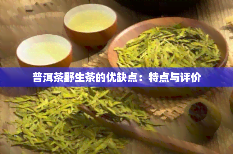 普洱茶野生茶的优缺点：特点与评价