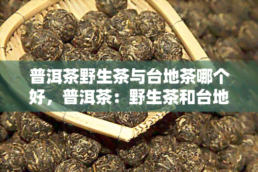 普洱茶野生茶与台地茶哪个好，普洱茶：野生茶和台地茶，哪种更好？