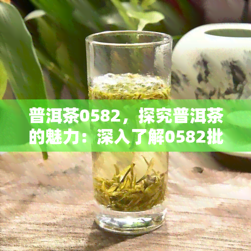 普洱茶0582，探究普洱茶的魅力：深入了解0582批次的口感与品质